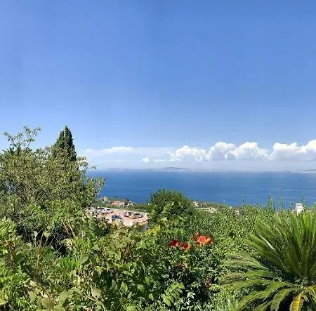 Amore - La Selva Sorrento